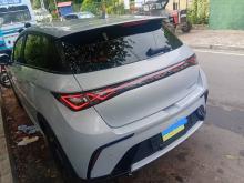 BYD Dolphin 2026 Car