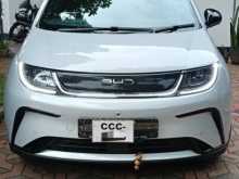 BYD Dolphin 2026 Car
