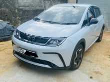 BYD Dolphin 2026 Car