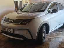 BYD Dolphin 2026 Car
