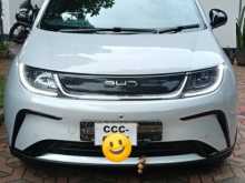 BYD Dolphin 2026 Car