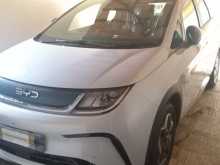 BYD Dolphin 2026 Car
