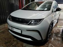 BYD Dolphin 2026 Car