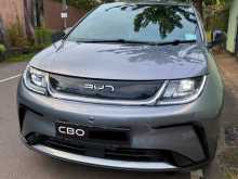 BYD Dolphin 2025 Car