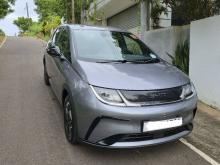 BYD Dolphin 2025 Car
