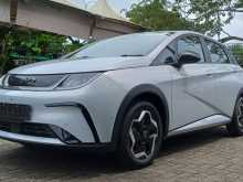 BYD Dolphin 2026 Car