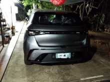 BYD Dolphin 2025 Car