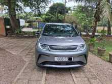 BYD Dolphin 2026 Car