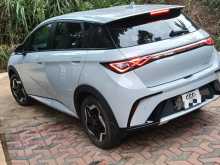 BYD Dolphin 2026 Car
