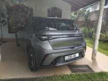 BYD Dolphin 2025 Car