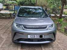 BYD Dolphin 2026 Car