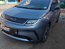 BYD DYNAMIC Dolphin 49 2025 Car