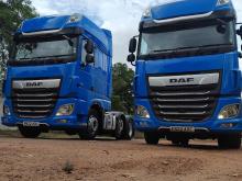 DAF XF 480 2022 Truck