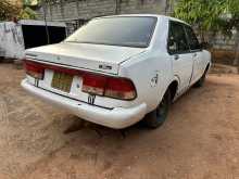 Datsun Sunny 1980 Car