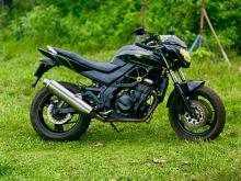 Demak Dzm 250 2014 Motorbike