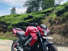 Demak Skyline GT 225 2017 Motorbike