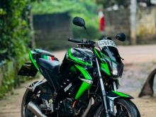Demak Skyline Gt 225 2017 Motorbike