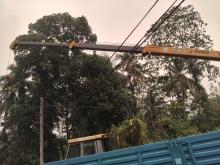 https://riyasewana.com/uploads/dfsk-boom-truck-31923576235.jpg
