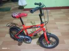 DSI Good bicycle
