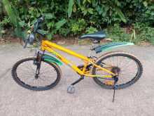 DSI Mountain bicycle