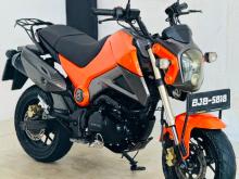 Dyno DAYUN MINI 110 2021 Motorbike