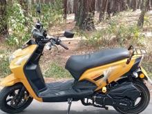 Dyno Scooby 2024 Motorbike