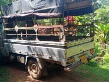 FAW CAI010A2 2010 Lorry