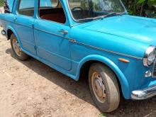 Fiat 1100 1980 Car
