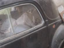 Fiat 600 1980 Car