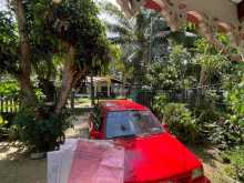 Ford Festiva 1993 Car