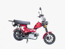 Gallant TM70 2025 Motorbike