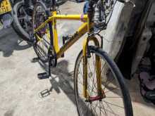 Giant Import from Japan bicycle