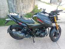 Hero Hunk 2025 Motorbike