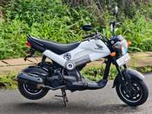 https://riyasewana.com/uploads/hero-navi-169424313822.jpg