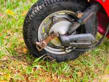 Photo 7