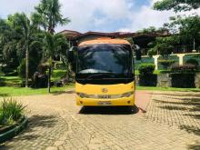 Higer V8 2011 Bus