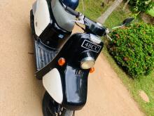Honda 48cc 2023 Motorbike