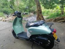 Honda 48cc 2025 Motorbike