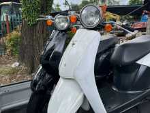 Honda 48cc 2025 Motorbike