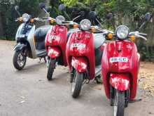 Honda 48cc 2024 Motorbike