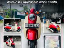 Honda 48cc 2019 Motorbike