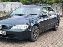 Honda Accord 1999 Car