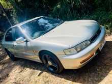 Honda Accord Cd3 1996 Car