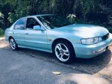 Honda Accord Cd3 1996 Car