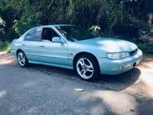 Honda Accord Cd3 1996 Car