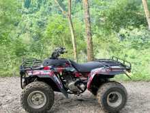 Honda Atv 2010 Motorbike