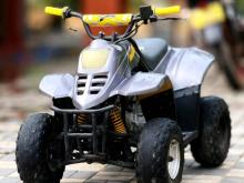 Honda Atv Beach 2018 Motorbike