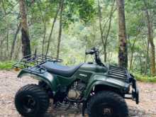 Honda Atv Quad Beach 2017 Motorbike