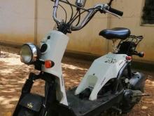 Honda Bite 2022 Motorbike