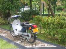 Photo 5